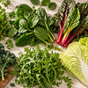 Which Salad Greens Are the Most Nutritious